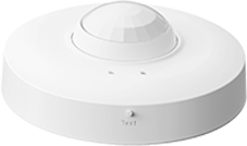 20250629113636465e2e1